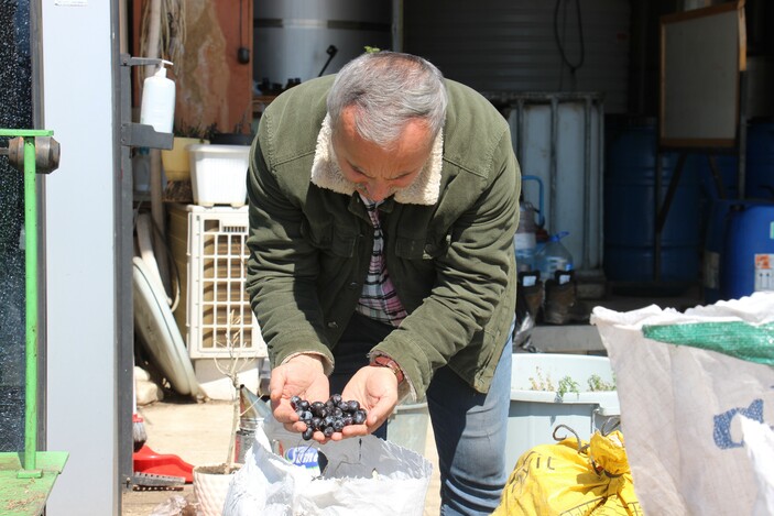 Aydın'da çalışacak işçi bulamıyor! Hamal ayda 24 bin lira kazanıyor