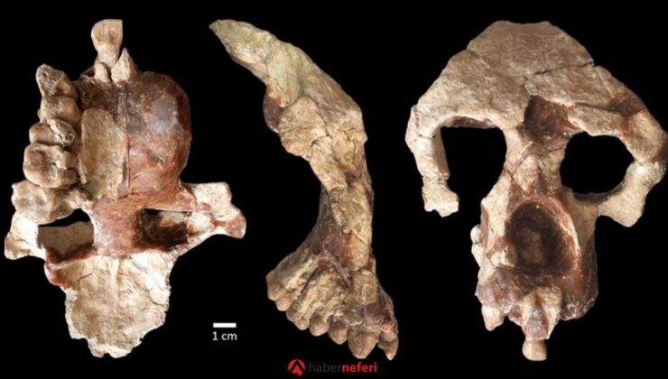 Çankırı’da Yapılan Arkeolojik Keşif, İnsanlık Tarihini Yeniden Yazıyor
